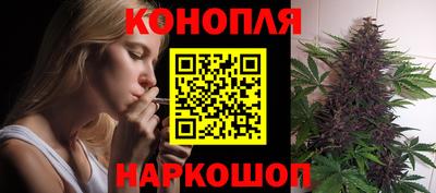 сатива Комсомольск-на-Амуре