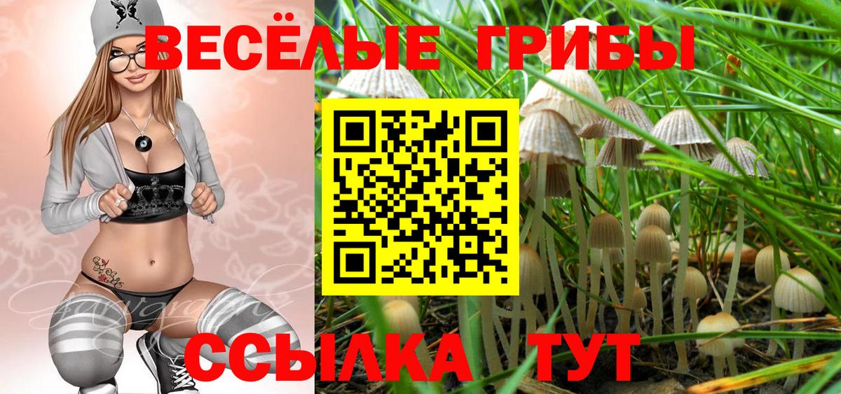 Зеленокумск  Галлюциногенные грибы Psilocybe  Вход с VPN 